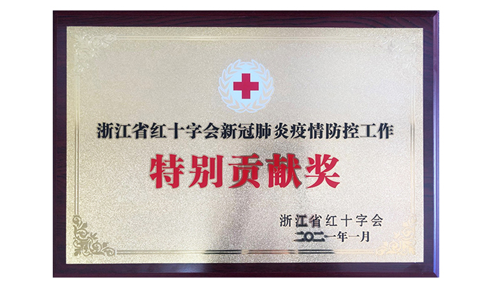 浙江省红十字会授予OD在线-OD在线(中国)“新冠疫情防控特别贡献奖”